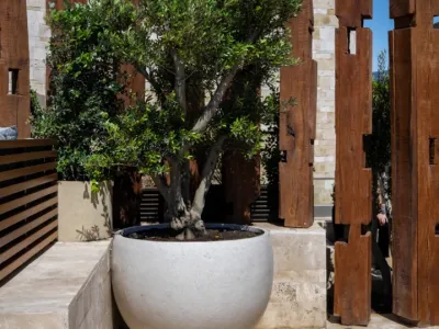 Zuma Bodrum Mimari Proje Çekimi - Görsel 15